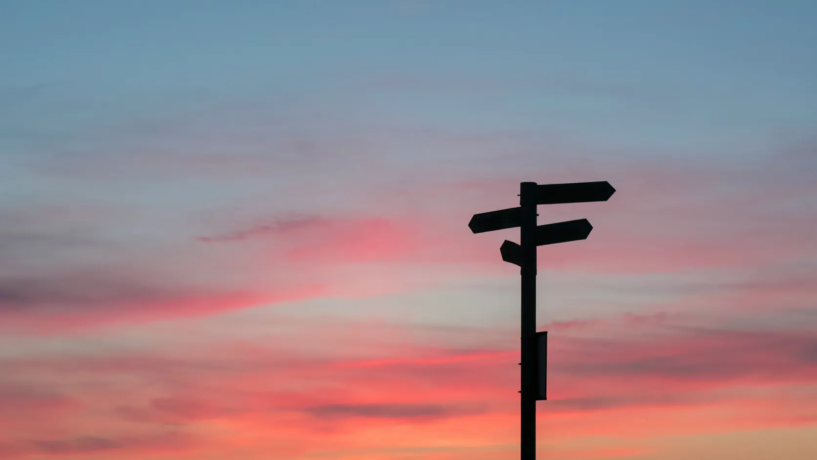 Signpost against a sunset sky, representing the choice between feed formulation software options.