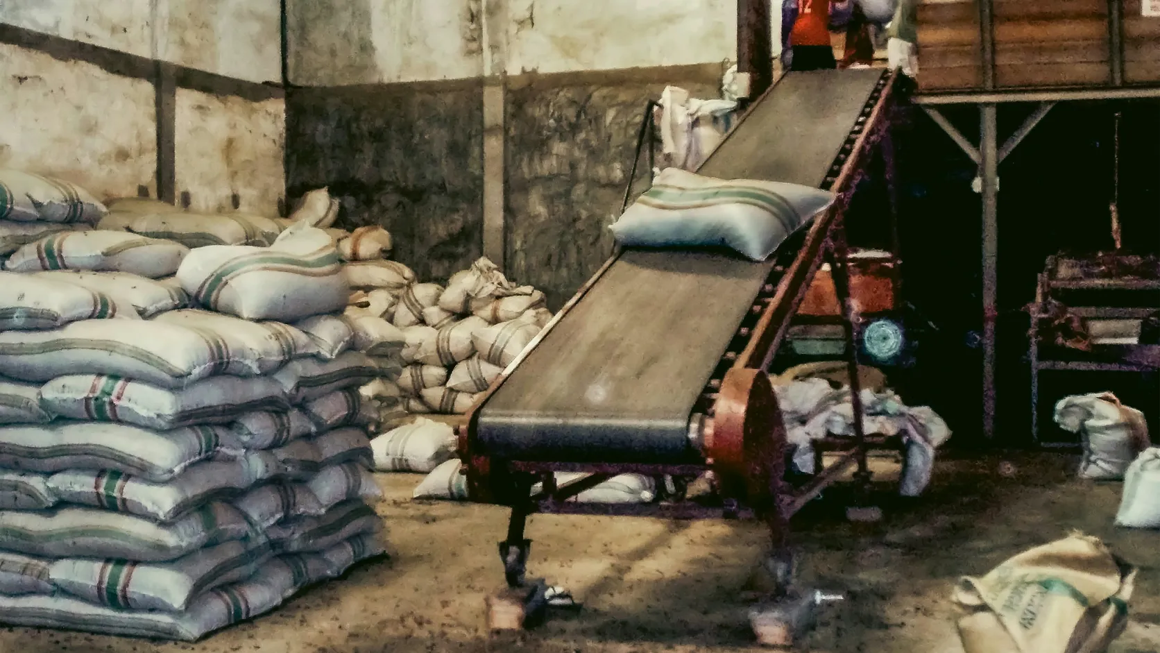 Conveyor and stacked feed sacks inside a working feed mill warehouse.