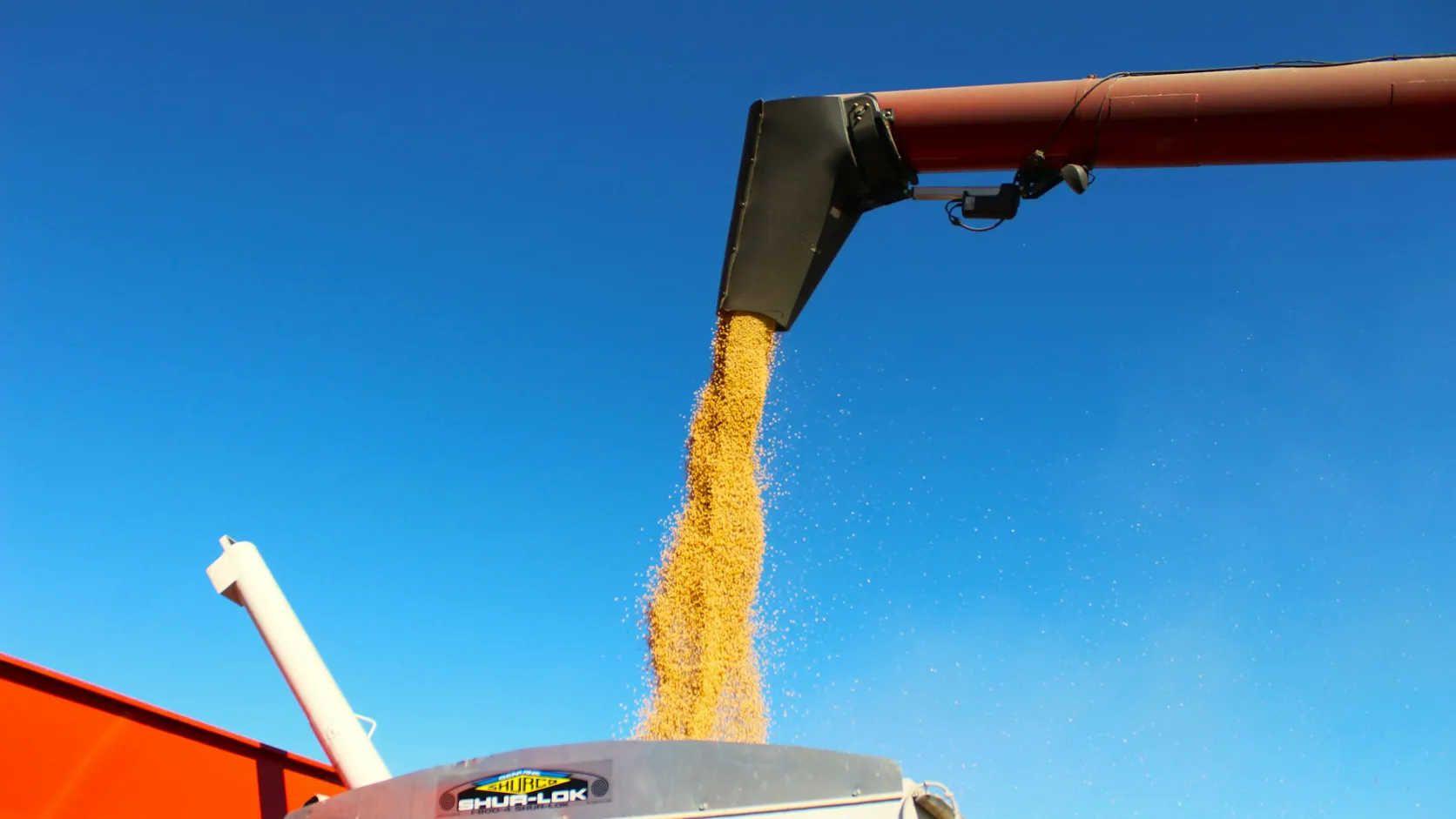Grain auger loading feed ingredients into a truck during feed production.