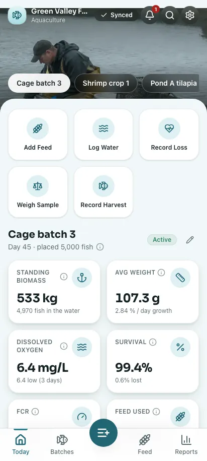 Feedsoft Aquaculture em um celular, com os números do dia