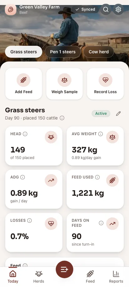 Feedsoft Beef em um celular, com os números do dia