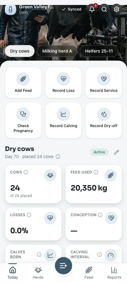 Feedsoft Dairy em um celular, com os números do dia