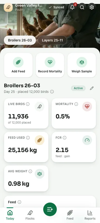 Feedsoft Poultry em um celular, com os números do dia
