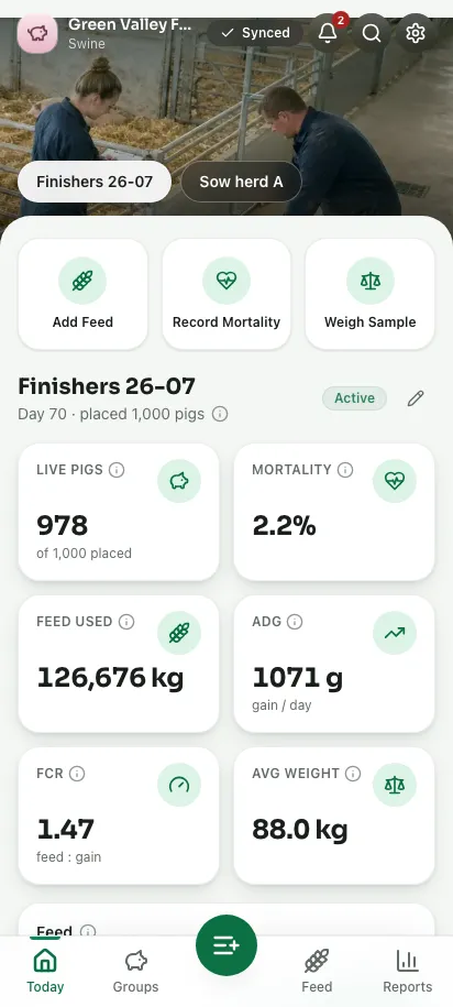 Feedsoft Swine em um celular, com os números do dia