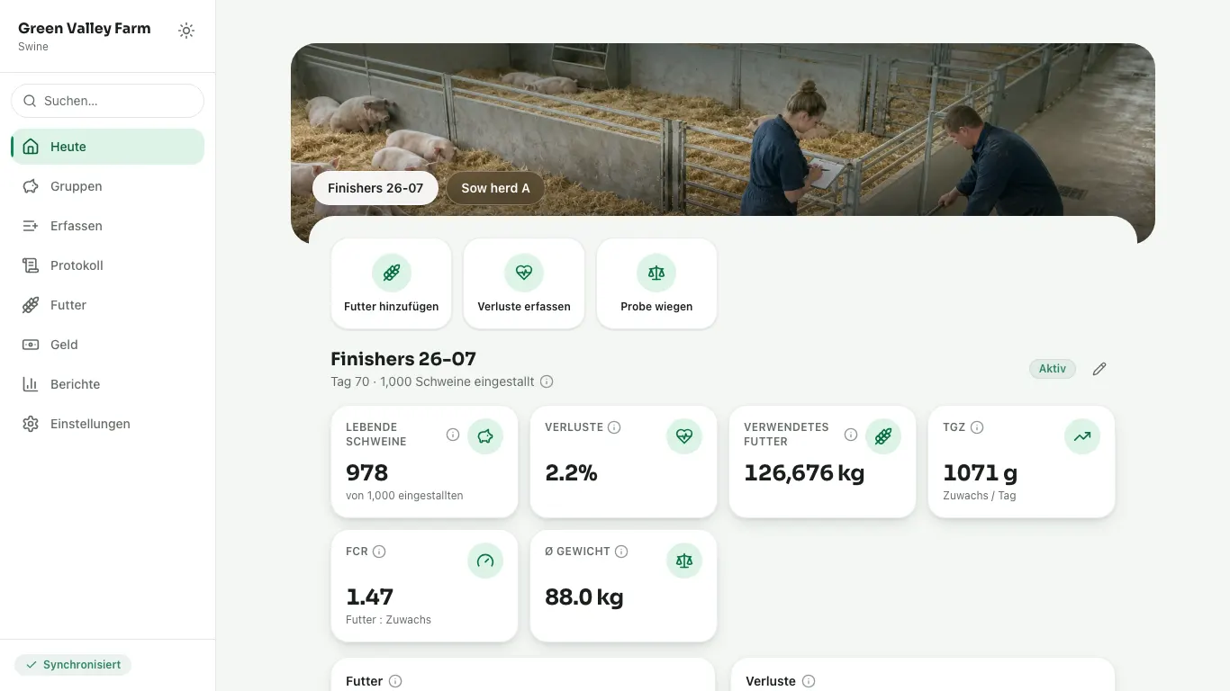Feedsoft Swine auf einem Computer, mit den Zahlen des Tages