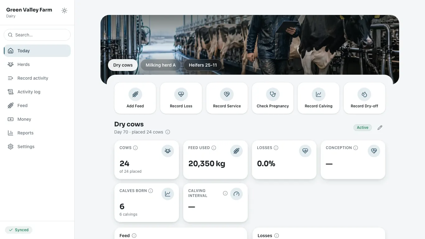 Feedsoft Dairy on a computer, showing the day's numbers