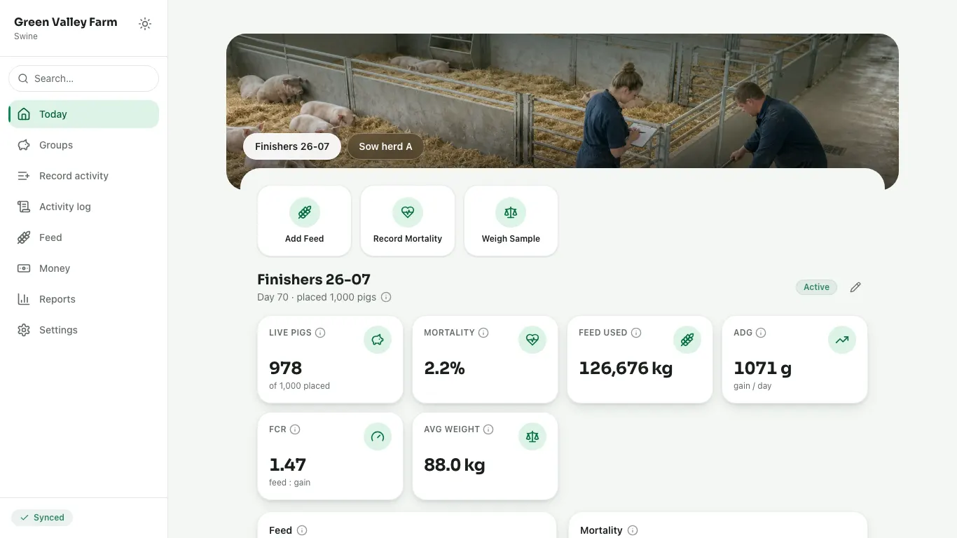 Feedsoft Swine on a computer, showing the day's numbers