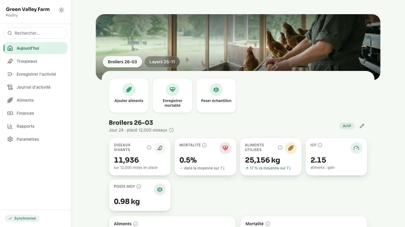 Feedsoft Poultry sur un ordinateur, avec les chiffres du jour