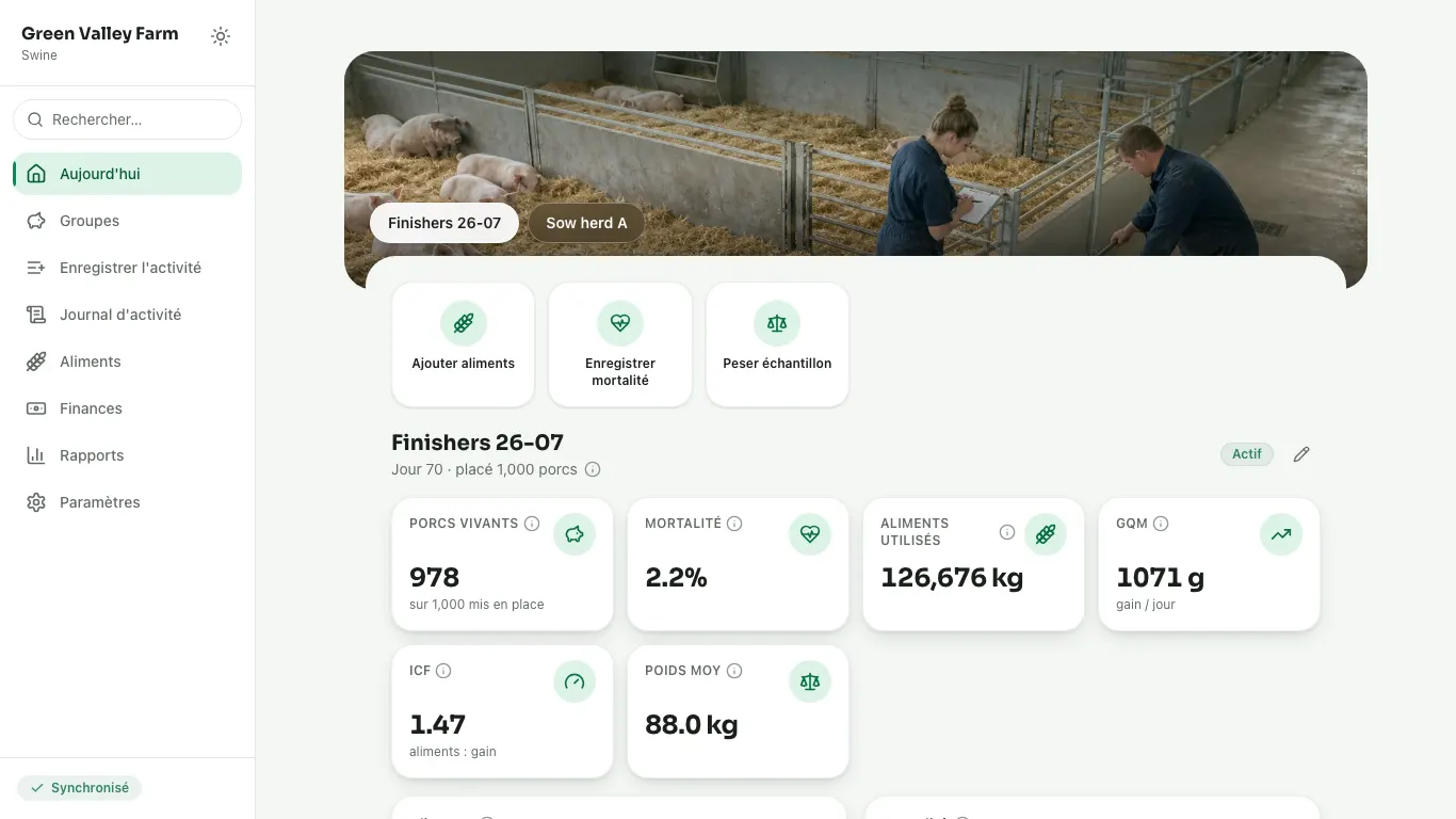Feedsoft Swine sur un ordinateur, avec les chiffres du jour