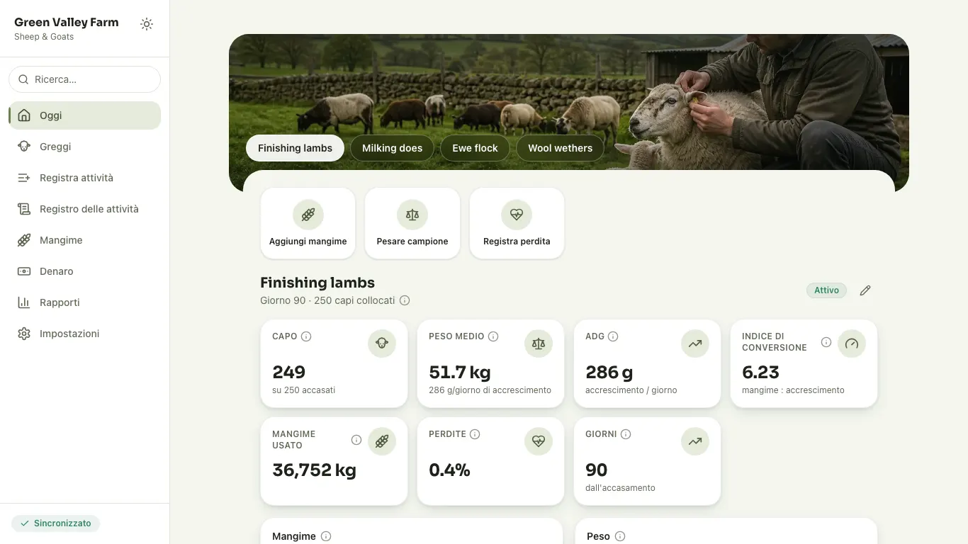 Feedsoft Sheep & Goats su un computer, con i numeri della giornata
