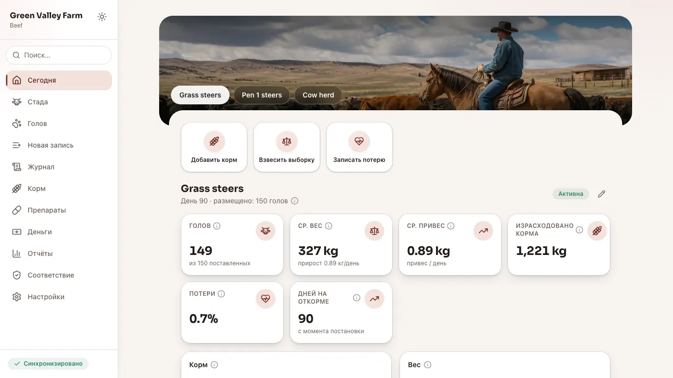 Feedsoft Beef на компьютере с показателями за день