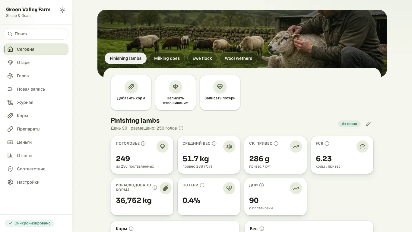 Feedsoft Sheep & Goats на компьютере с показателями за день