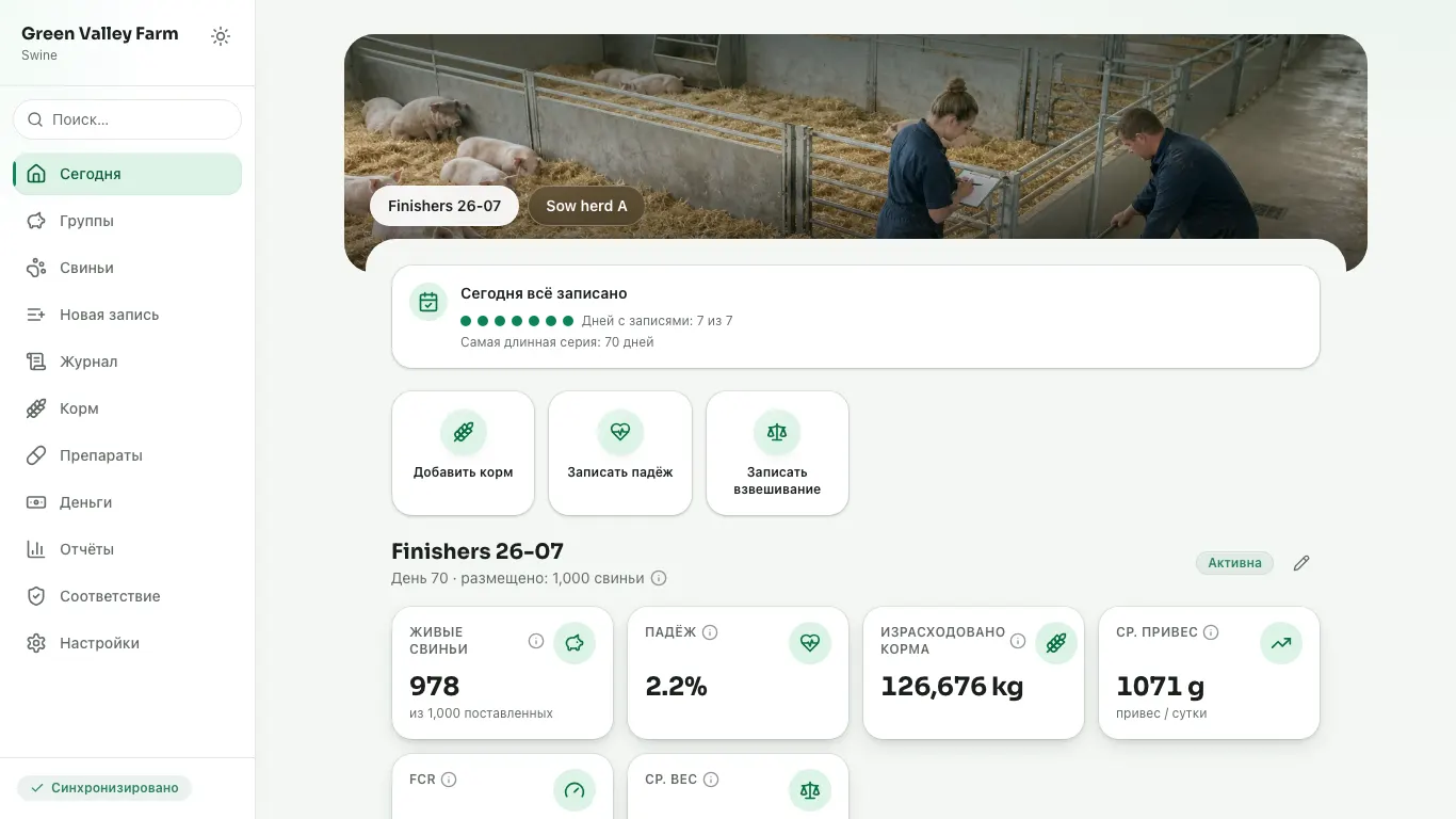 Feedsoft Swine на компьютере с показателями за день