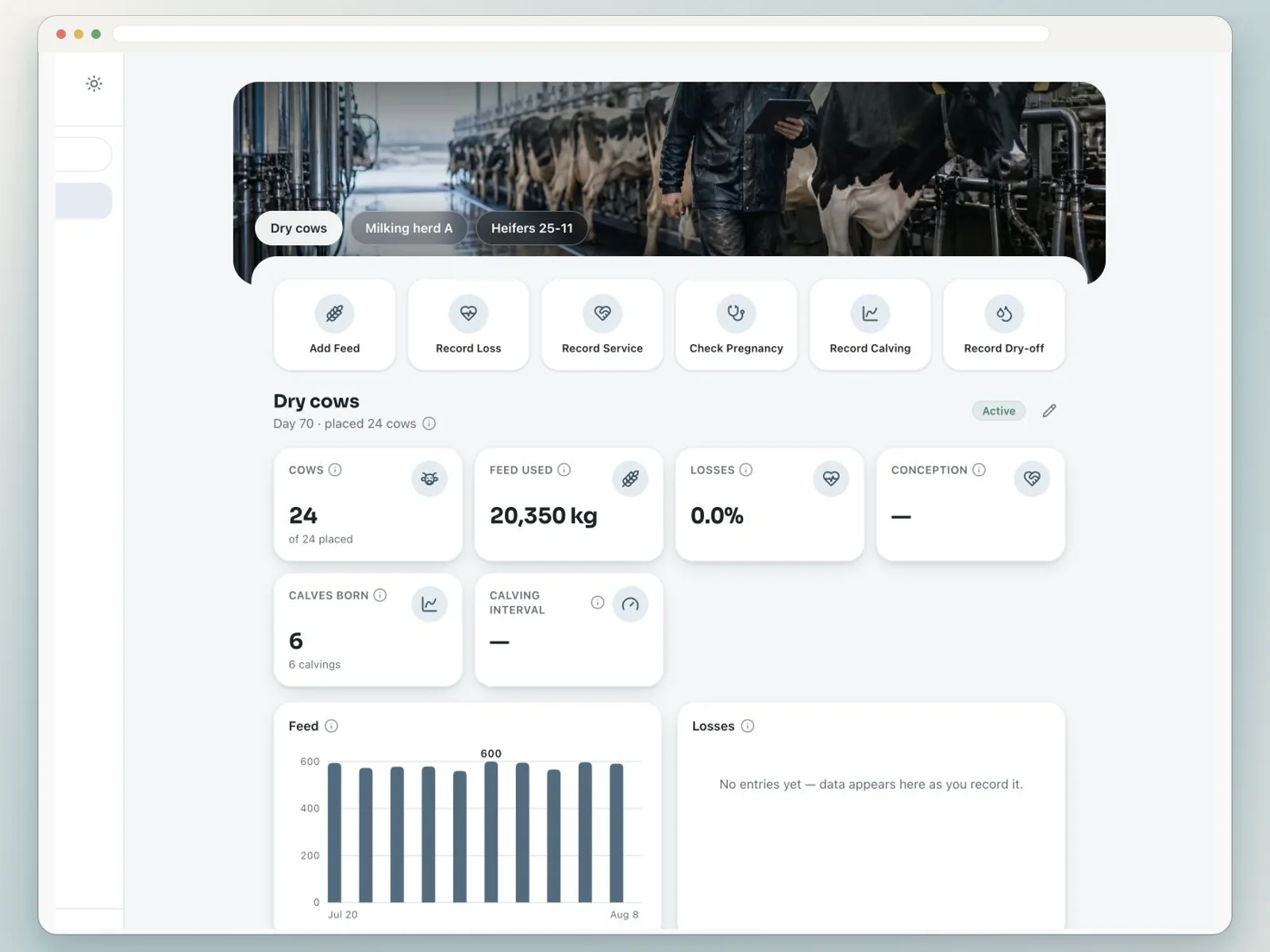 Feedsoft Dairy live dashboard showing yield per cow, feed efficiency, and SCC