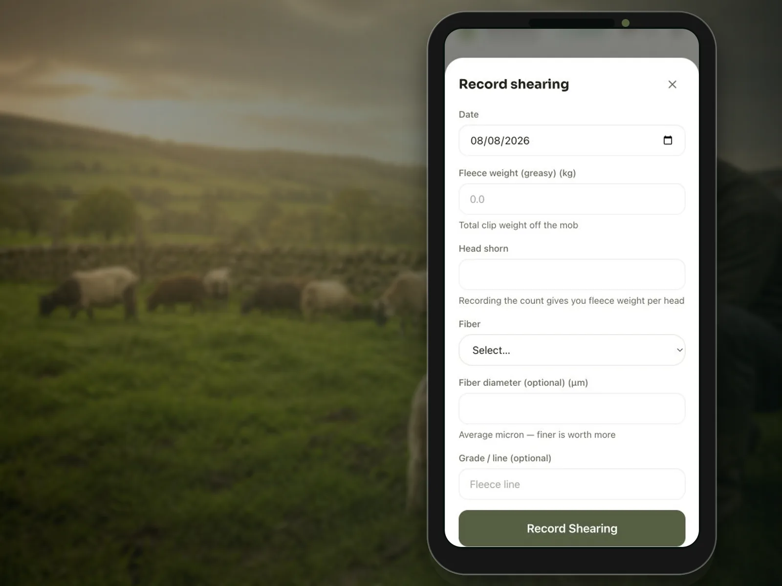 Feedsoft Sheep & Goats mobile screen for milk and shearing