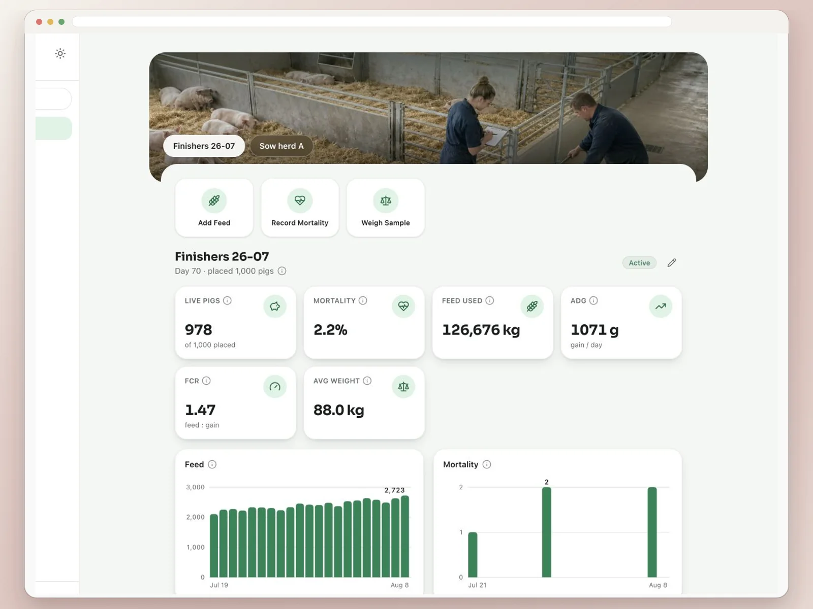 Feedsoft Swine live dashboard showing ADG, FCR, litter size, and pre-wean loss